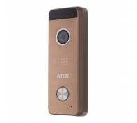 AT-I-D21F Gold